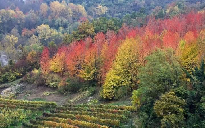 Bed & Breakfast La Tana Dello Scoiattolo Murazzano (Cuneo)