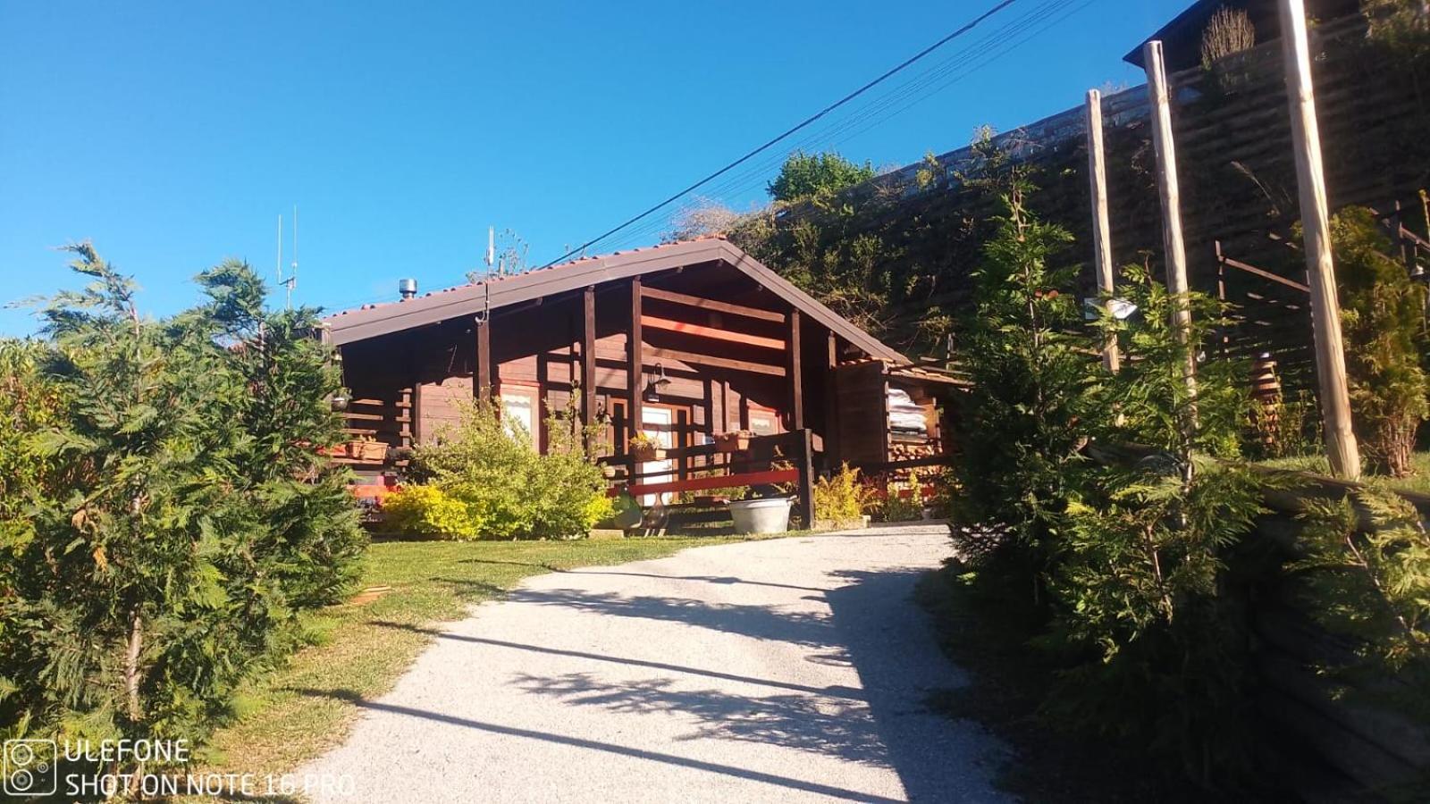 Bed & Breakfast La Tana Dello Scoiattolo *