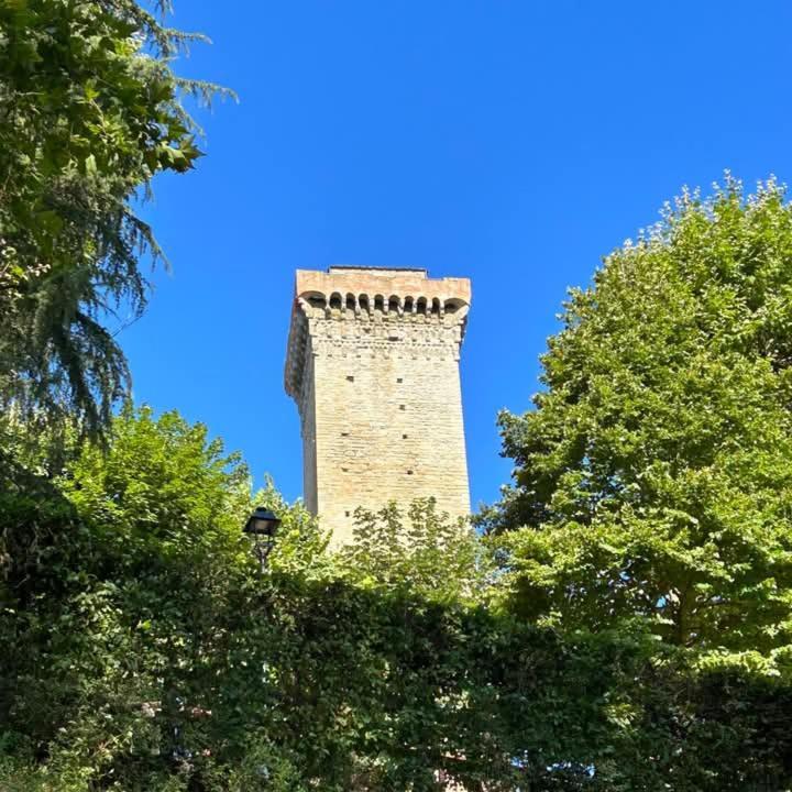 La Tana Dello Scoiattolo *